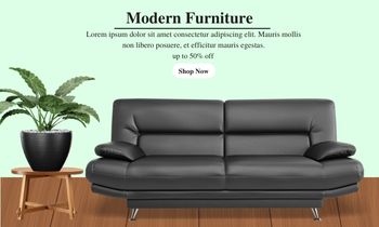 The Best Sofa's